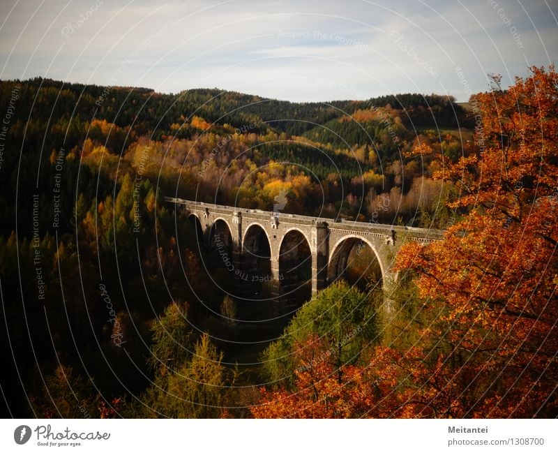 Hetzdorf Viaduct Hiking Nature Landscape Autumn Tree Leaf Forest Hill Valley hunt village Germany Europe Bridge Manmade structures viaduct Tourist Attraction