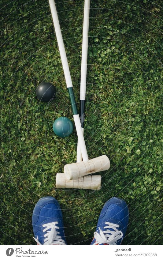 All Double Grass Meadow Blue Green Croquet Footwear Golf club Ball In pairs Colour photo Exterior shot Day Bird's-eye view Downward