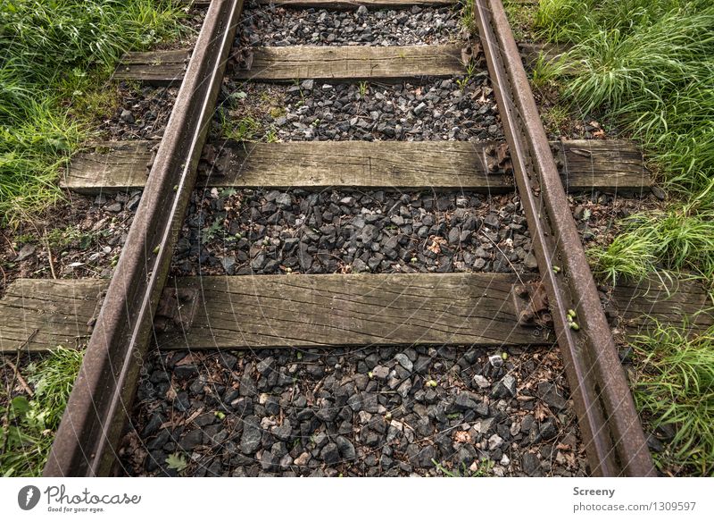 Old Traces Grass Rail transport Railroad tracks Stone Wood Metal Brown Green Power Unwavering Logistics Gravel Rust Colour photo Exterior shot Close-up Deserted