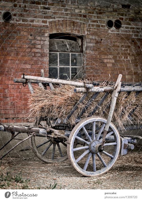 Come home from the field. Elements Earth Autumn Field Village House (Residential Structure) Window Horse-drawn carriage Sign Work and employment