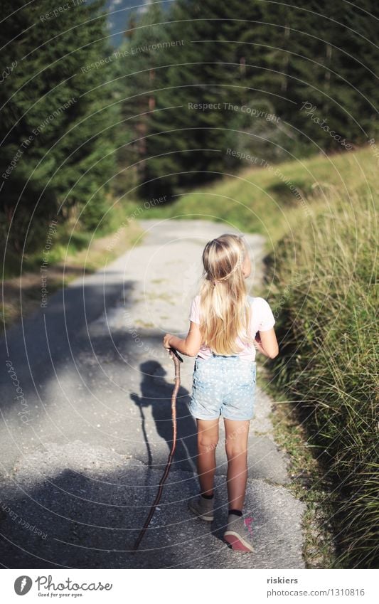 hiking day Human being Feminine Child Girl Infancy 1 3 - 8 years Environment Nature Sunlight Summer Beautiful weather Forest Observe Discover Relaxation Walking