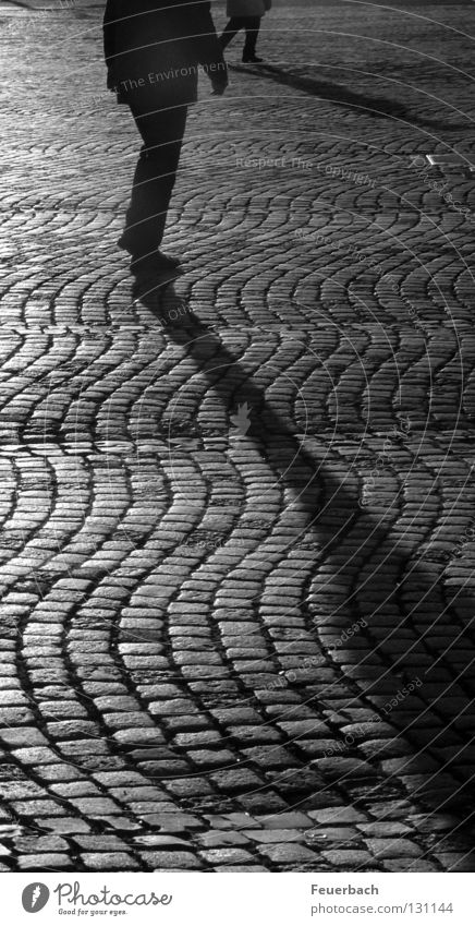 Long shadows Black & white photo Exterior shot Evening Light Shadow Contrast Silhouette Calm Human being 2 Duesseldorf Town Old town Places