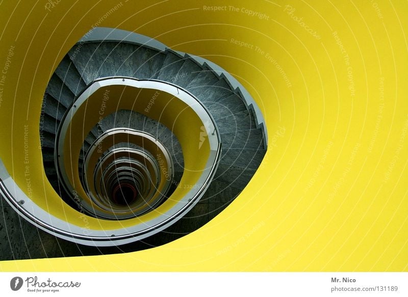 circulation Staircase (Hallway) Snail shell Rotate Filming Cardiovascular system Circle Round Deep Narrow House (Residential Structure) Winding staircase Stairs