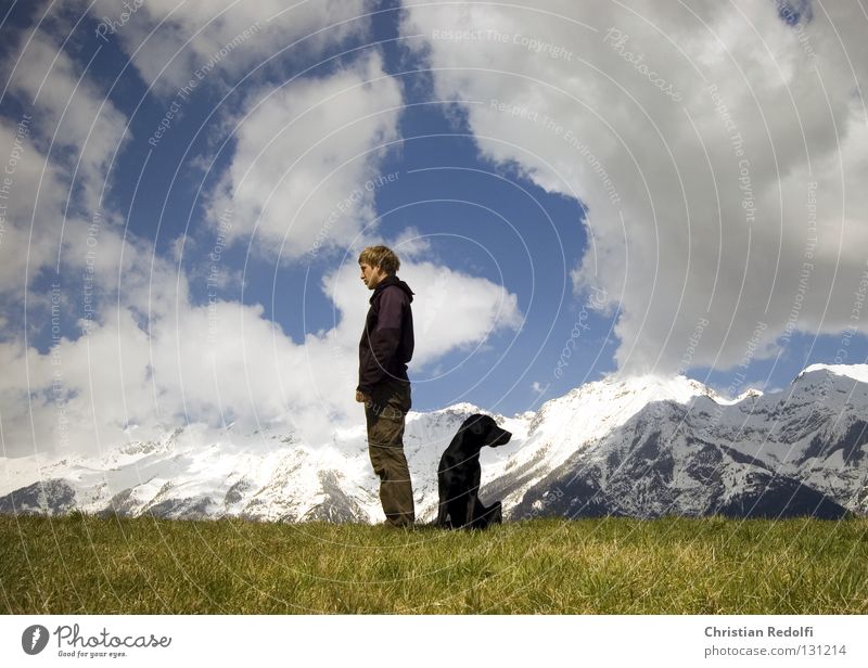 man with dog searches.... Field Hill Grass Dog Labrador Meadow Clouds Spring day To go for a walk Green Black White Man Alpine pasture Ignore Vantage point