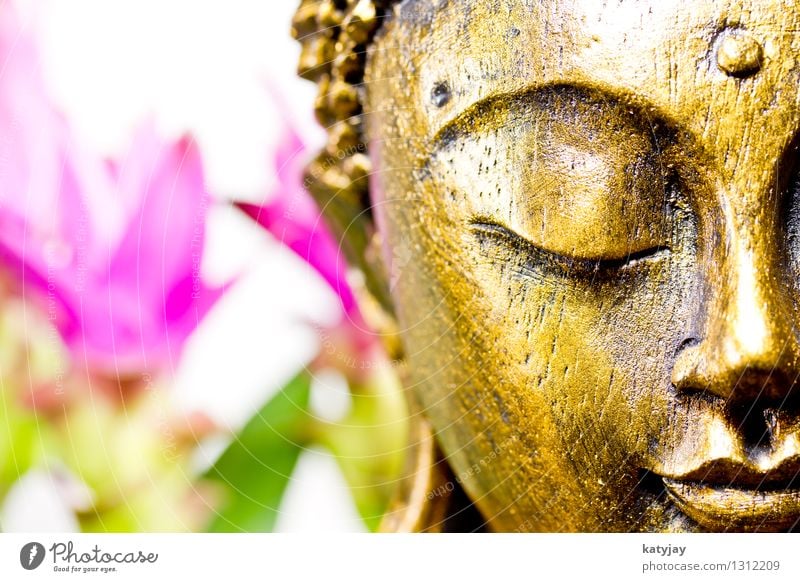 Buddha Buddhism Siddhartha Religion and faith Meditation Wellness Belief Awareness Statue Calm Massage Relaxation Face Asia Prayer Body Figure Iconic Art