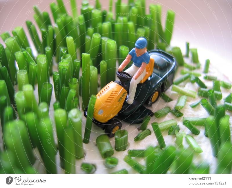 "Mowing the lawn" Meadow Green Grass Chives Cream cheese Soft Lawnmower Summer Kitchen Cut Colour Nutrition pick-up Joke Pattern