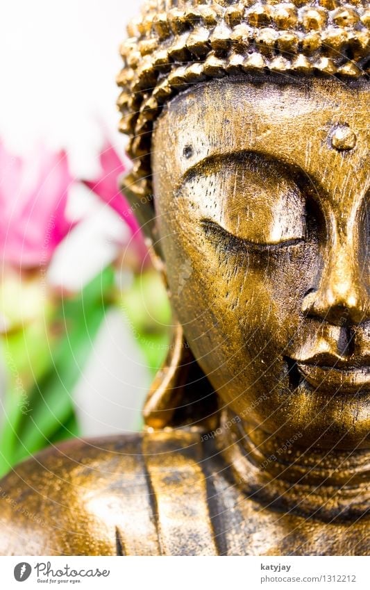 Buddha Buddhism Siddhartha Religion and faith Meditation Wellness Belief Awareness Statue Calm Massage Relaxation Face Asia Prayer Body Figure Iconic Art