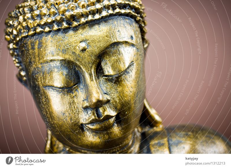 Buddha Buddhism Siddhartha Religion and faith Meditation Wellness Belief Awareness Statue Calm Massage Relaxation Face Asia Prayer Body Iconic Art Culture