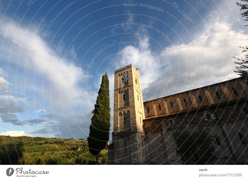 contemplation Environment Nature Landscape Sky Clouds Spring Summer Beautiful weather Plant Tree Cypress Park Field Hill Sant'Antimo Abbey Val d'Orcia Italy