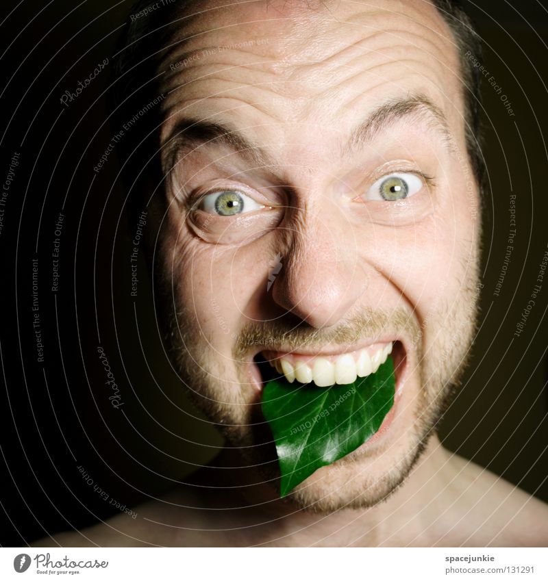 Green tongue Man Scream Portrait photograph Freak Fear Alarming Dark Black Show your teeth Evil Crazy Vessel Rachis Humor Joy Face Human being Force Tongue
