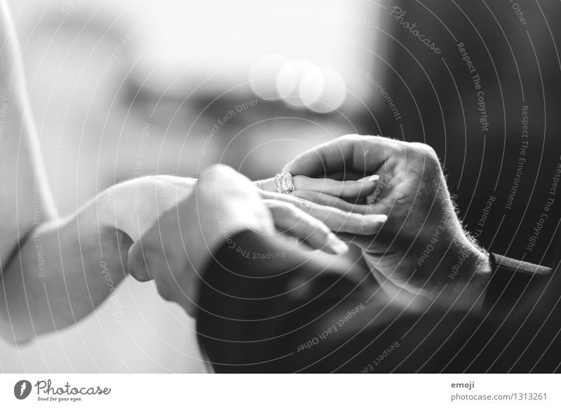 ceremony Couple Adults Hand Fingers 2 Human being Jewellery Ring Together Happy Wedding Ceremony Love Display of affection Black & white photo Interior shot