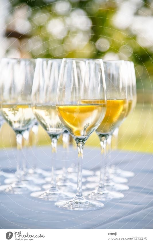 drinks Beverage Alcoholic drinks Wine Sparkling wine Prosecco Champagne Glass Champagne glass Delicious Sweet Feasts & Celebrations Colour photo Exterior shot