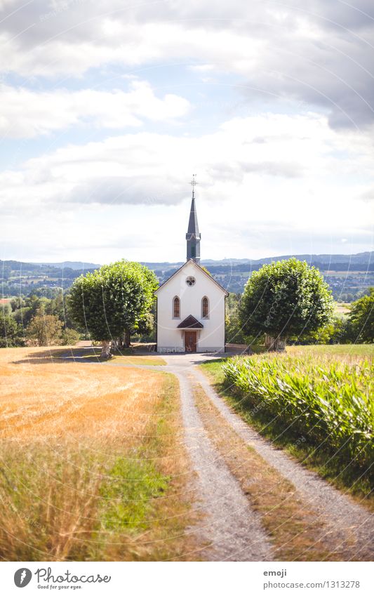 chapel Environment Nature Landscape Spring Summer Autumn Beautiful weather Field Natural Green Chapel Religion and faith Colour photo Exterior shot Deserted Day