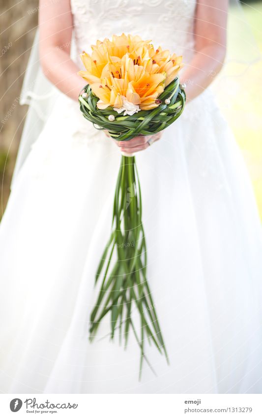 bridal bouquet Feminine Woman Adults 1 Human being 18 - 30 years Youth (Young adults) Plant Flower Green Orange White Bouquet Bride Wedding Colour photo