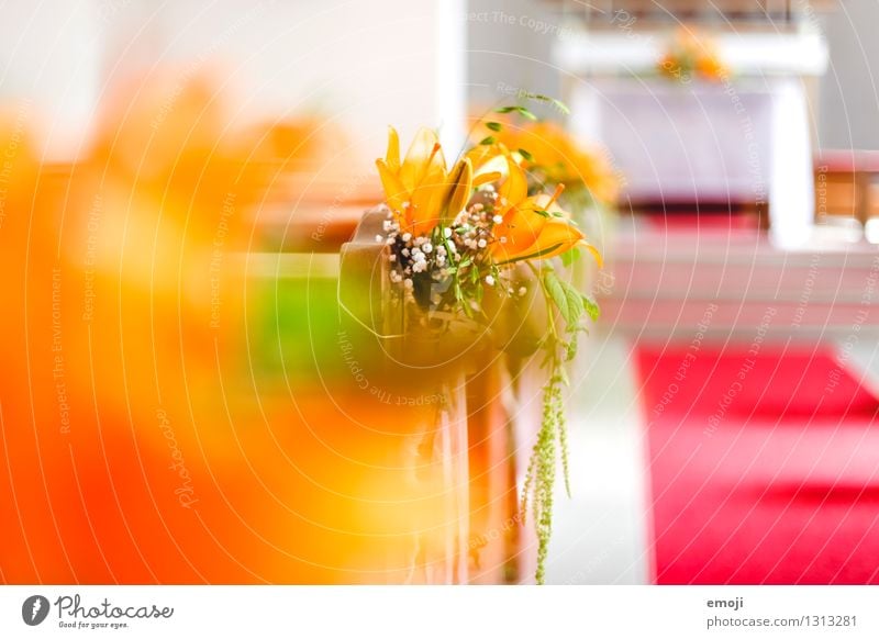 chapel Plant Flower Church Decoration Kitsch Odds and ends Bright Orange Chapel Wedding Wedding ceremony Colour photo Multicoloured Interior shot Close-up