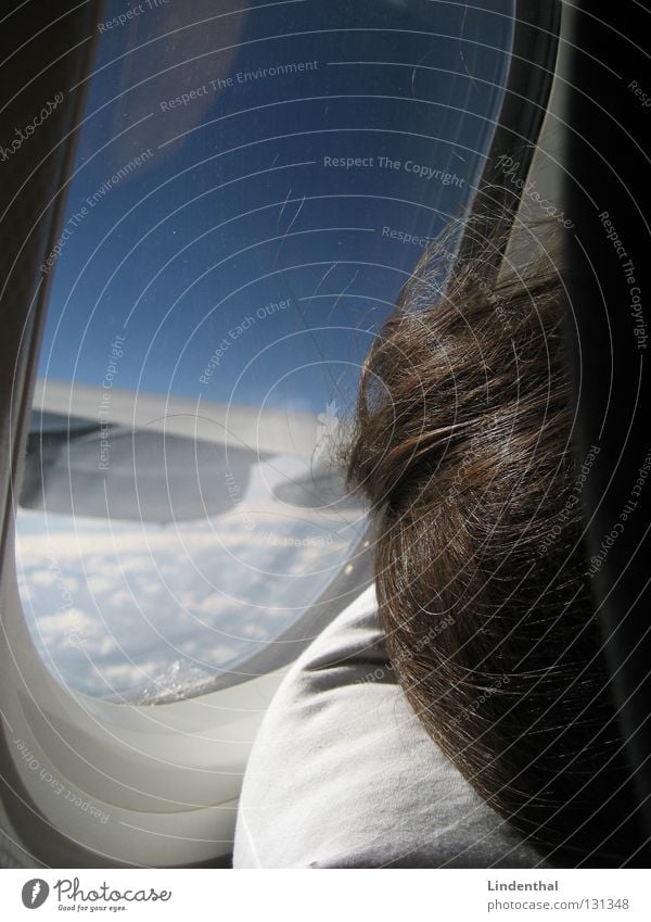 Flight fades away in sleep Airplane Sleep Cushion Window Hatch Porthole Engines Aviation Wing Pillow