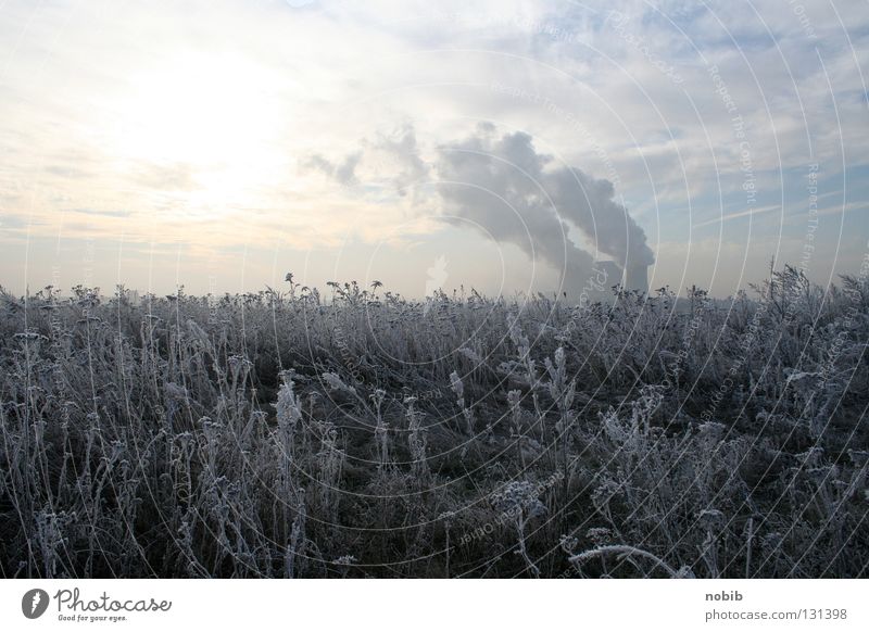 frost Hoar frost Winter Lignite Gray Clouds Field Meadow Cold Smoke Frost snow Sun Electricity generating station cloudy Sky Cooling tower