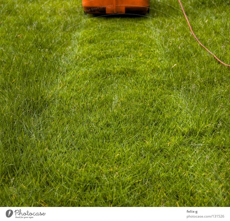 razor Lawnmower Electricity Green Red Grass surface Meadow Flower Garden Park Mow the lawn Cable Contrast Stopper Plant