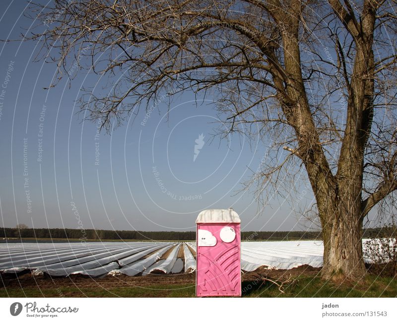 Tree.house. Colour photo Exterior shot Deserted Day Central perspective Field Pink Rental toilet Brandenburg Agriculture Asparagus field