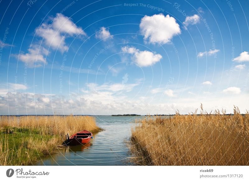 At the Bodden Vacation & Travel Nature Landscape Water Clouds Lake Watercraft Blue Yellow Red Romance Idyll Tourism Common Reed Body of water Sky