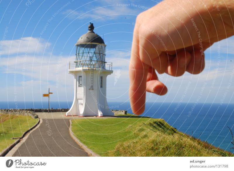 Push D6! Cape New Zealand Coast lighthouse cape reinga Tasman Sea Pacific Sea chess. C6