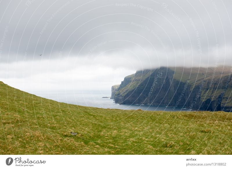 Landscape on the Faroe Islands Beautiful Ocean Environment Nature Clouds Weather Grass Meadow Rock River Stone Green Emotions intense Dramatic mood positive
