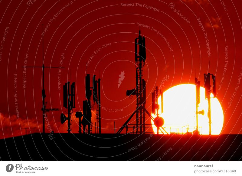 Sunset behind a forest of mobile masts Telephone Cellphone PDA Mobile communications radio mast Technology Advancement Future Telecommunications