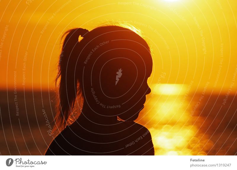 Girl silhouette by the sea in the sunset Human being Feminine Child Infancy Head Hair and hairstyles Nose 1 Elements Water Summer Beautiful weather Warmth coast