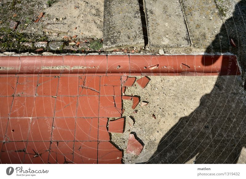 selfie Masculine Body 1 Human being Industrial plant Ruin Stone Concrete Brick Brown Red Black Photographer Tile Wooden board Selfie Colour photo Exterior shot