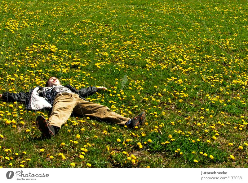 dandelion angel Break Relaxation Meadow Dandelion Flower meadow Sleep Yellow Summer Spring Green Lie Dream Joy lie down in childhood Contentment chill relax