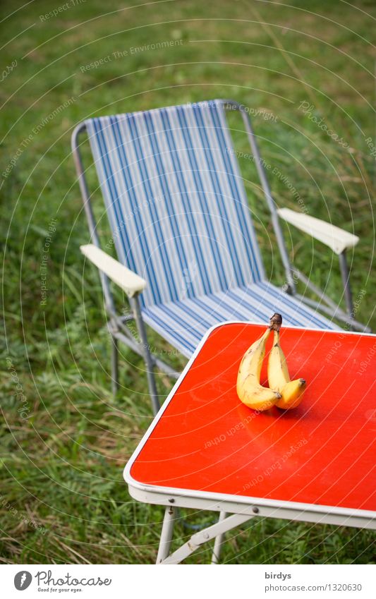 Retro camping with banana Fruit Banana Lifestyle Camping Summer vacation Chair Table Folding chair Meadow Authentic Original Positive Blue Yellow Green Red