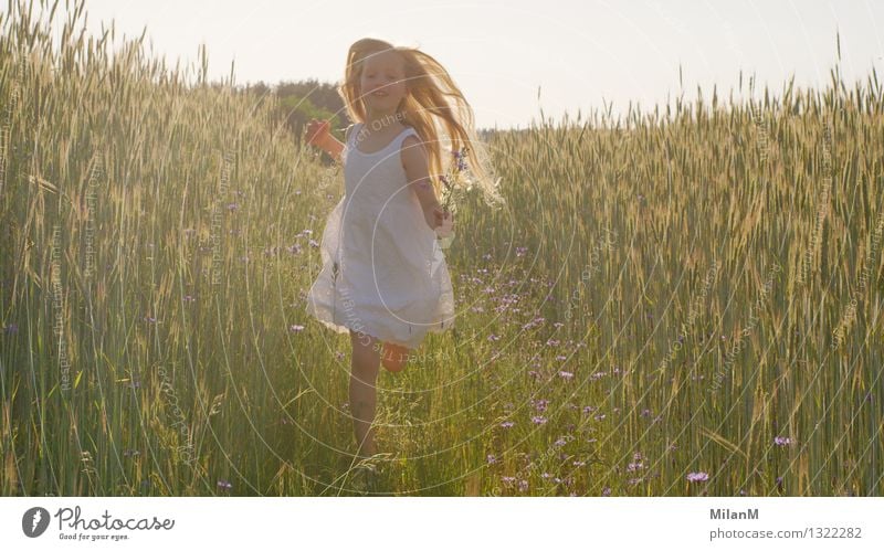 Full of joy Girl 1 Human being 3 - 8 years Child Infancy Nature Summer Beautiful weather Warmth Agricultural crop Field Movement Discover Walking Running