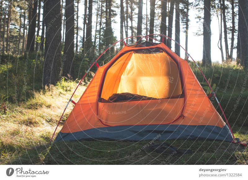 Tent in the forest on sunlight. Beautiful Relaxation Leisure and hobbies Vacation & Travel Tourism Trip Adventure Camping Summer Sun Hiking Nature Landscape