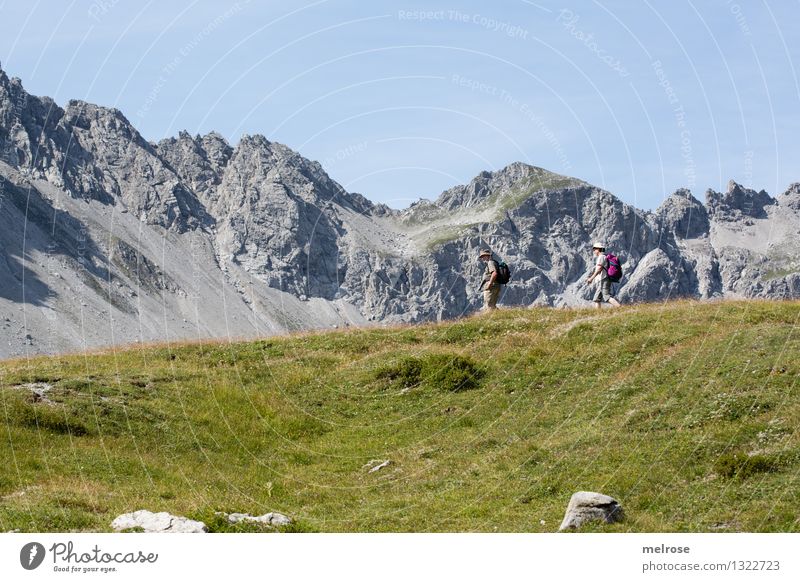 at the double Tourism Mountain Hiking Human being Partner 2 60 years and older Senior citizen Nature Landscape Earth Summer Grass Mountain meadow Alps