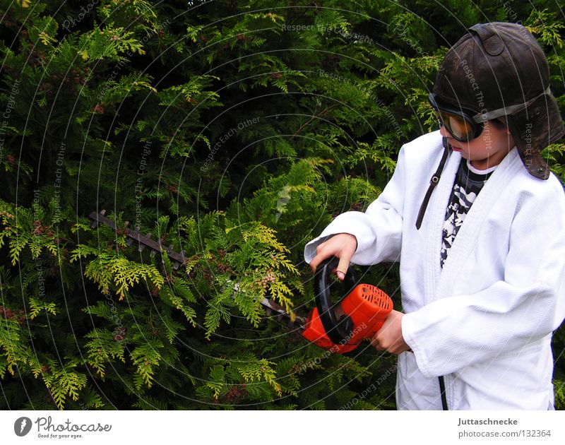 The tree surgeon Child Boy (child) Hedge shears Dangerous Bans Saftey goggles Gardening Gardener Electric Work and employment Surgeon Cut Bushes Thuja Tree