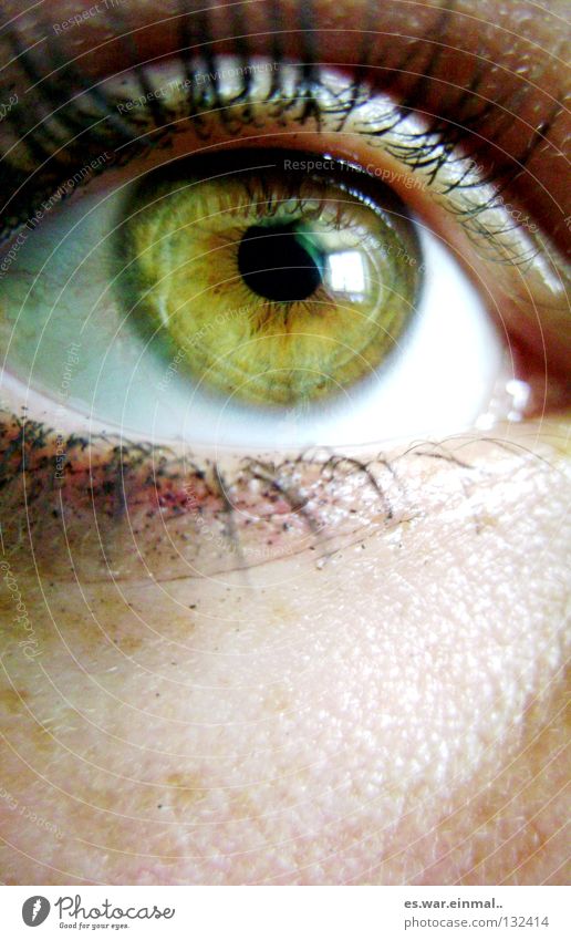 see. Green Brown Amber Pupil Black Freckles Eyelash Mascara Macro (Extreme close-up) Close-up Eyes green-brown amber-brown-green lol Iris freckle