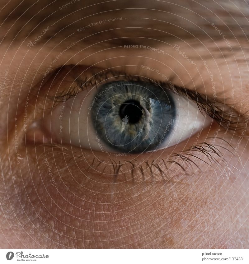 naïve Pupil Eyebrow Wake up Watchfulness Guard Concentrate Macro (Extreme close-up) Close-up Communicate Eyes Looking Senses eye watch SIN Human being Guy blue