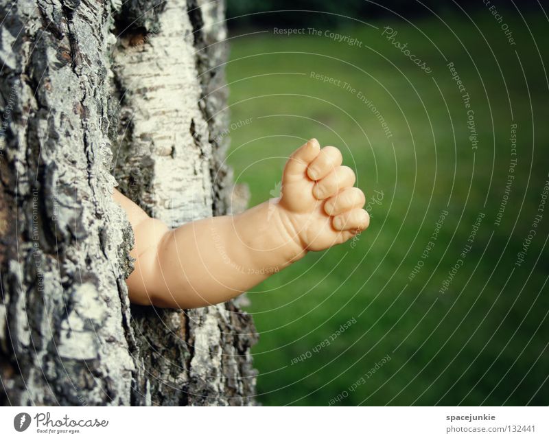 budding Tree Tree bark Wood Hand Whimsical Growth Maturing time Spring Leaf Green Birch tree Gardening Saw Fist Fingers Joy Doll Arm Statue Branch Nature sprout