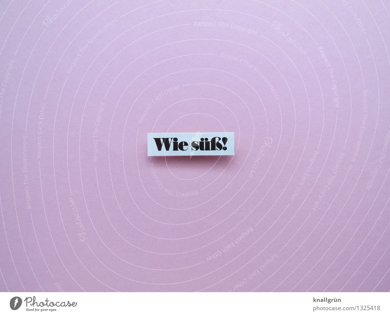 How sweet! Characters Signs and labeling Communicate Sharp-edged Pink White Emotions Moody Joy Enthusiasm Beautiful Cute Colour photo Studio shot Deserted