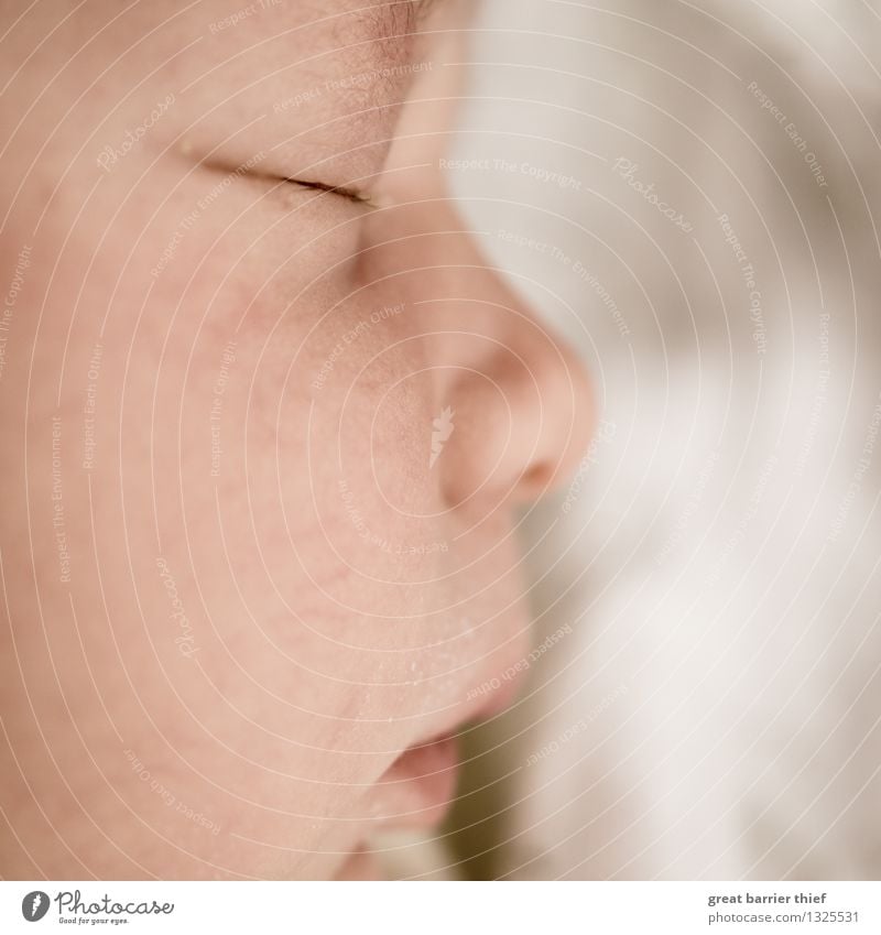 Sleeping baby Human being Feminine Baby Toddler Sister Infancy Life Head 1 0 - 12 months Brown Multicoloured Love Pure Calm Colour photo Interior shot Close-up