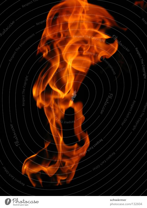 firescream Fire Energy Nature Hot Freedom Black Wild Dark Flame Warmth Scream Blaze Anger Aggravation Power Force jut