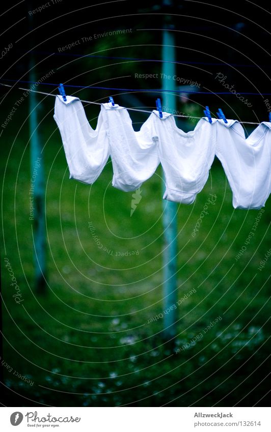 Neighbour's slipper -aprilfrisch- Underpants White Underwear Washing day Cleaning Dry Hang up Clothesline Neighbor Pure Household Peace Clothing white linen