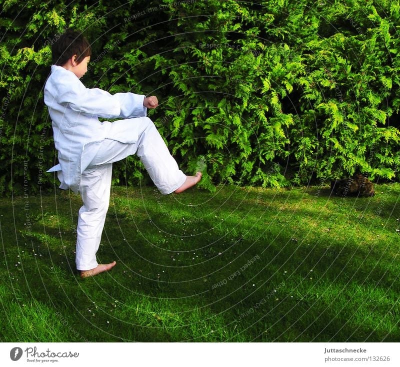 Caliph Stork Karate Judo Martial arts White Green Child Boy (child) Practice Kick Jump Combat dress Footstep Tread Japan Samurai Contentment Beat Fighter