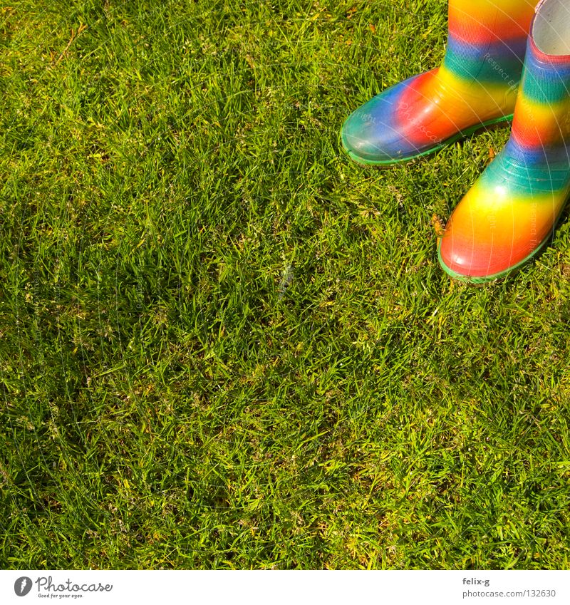 My new boots :) Meadow Green Multicoloured Boots Rubber boots Grass surface Wet Footwear Colour Rain