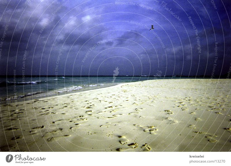 Nobody home? Beach Vacation & Travel Footprint Loneliness Ocean Sand Sky Blue