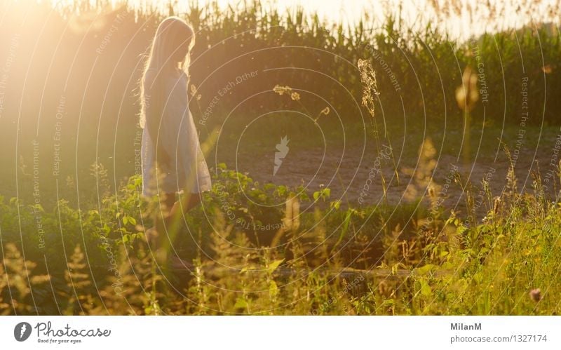 buzzer light Girl Infancy Life 1 Human being 3 - 8 years Child Nature Plant Summer Field Breathe Observe Relaxation Esthetic Blonde Fragrance Friendliness