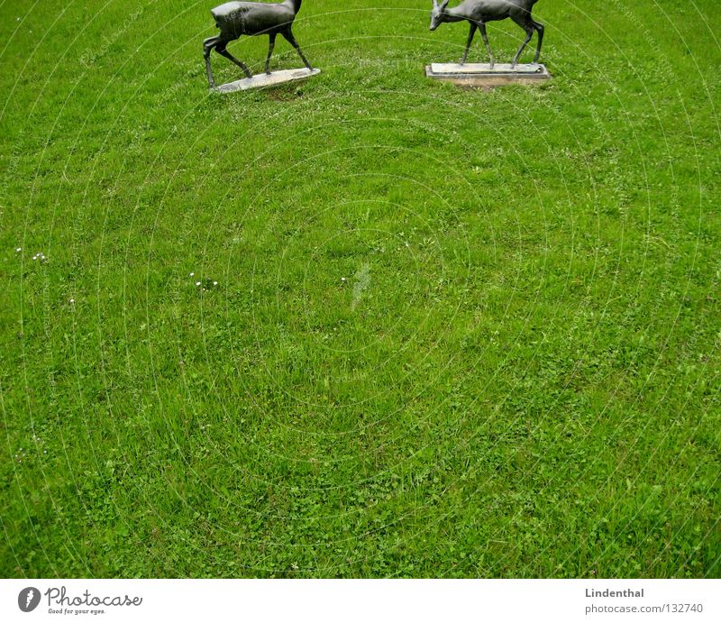 sliced deer Roe deer Bronze Buck Meadow To feed Statue Cut Mammal Wild animal Metal Rain