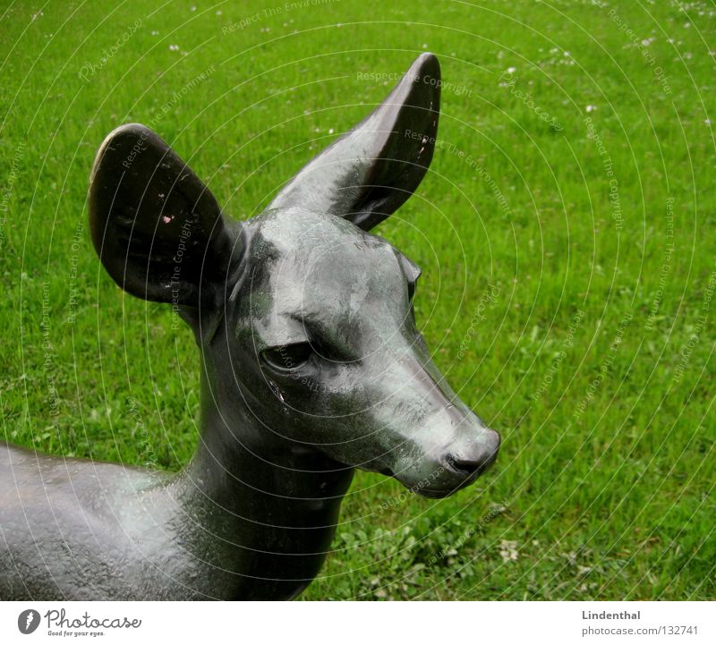 deer's head Roe deer Bronze Buck Meadow Statue Mammal Wild animal Metal Rain Ear kiz