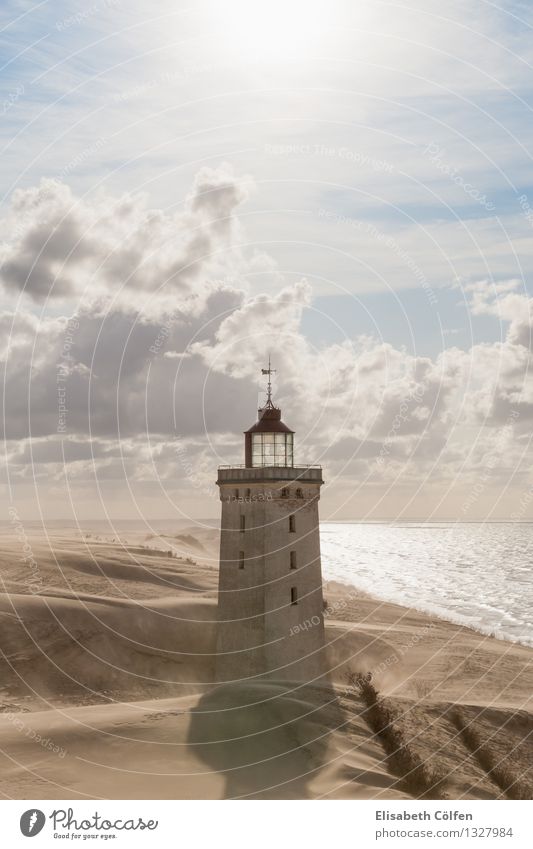 Sandstorm at the lighthouse Lighthouse Rubjerg Knude Denmark Landscape Landmark Sun coast shifting dune Desert Jutland North Jutland dunes natural monument