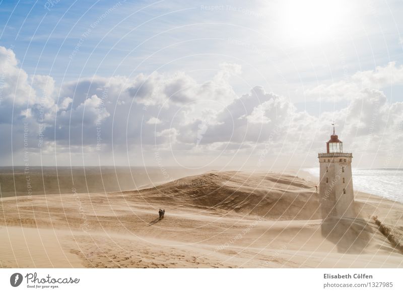 Sandstorm at the lighthouse Lighthouse Rubjerg Knude Denmark Landscape Landmark Sun coast shifting dune Desert Jutland North Jutland dunes natural monument